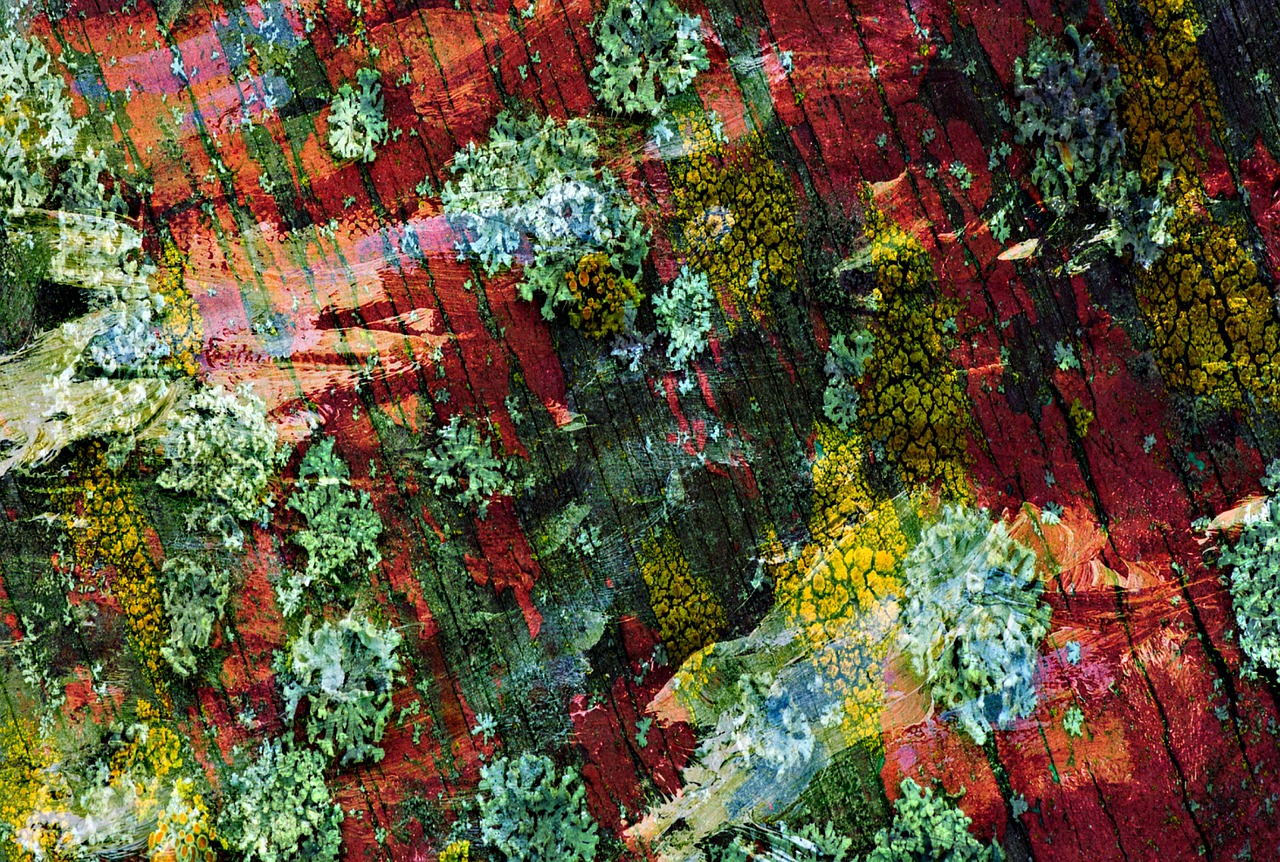 自然與現(xiàn)代交融的山野雜家新風(fēng)貌，鄉(xiāng)村新篇章