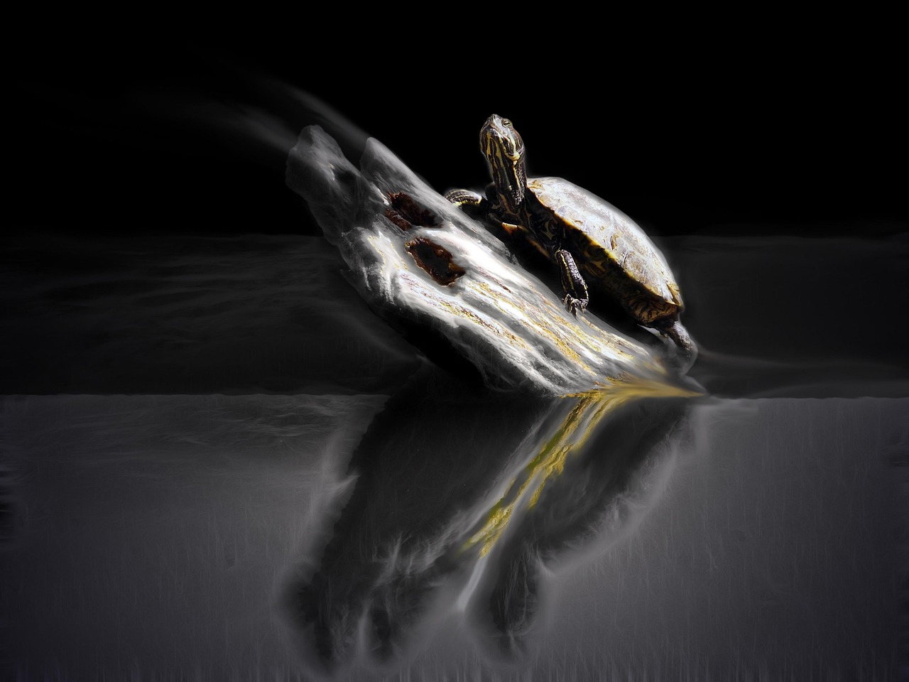 最新國產(chǎn)鬼片，恐怖與神秘的邊緣探索