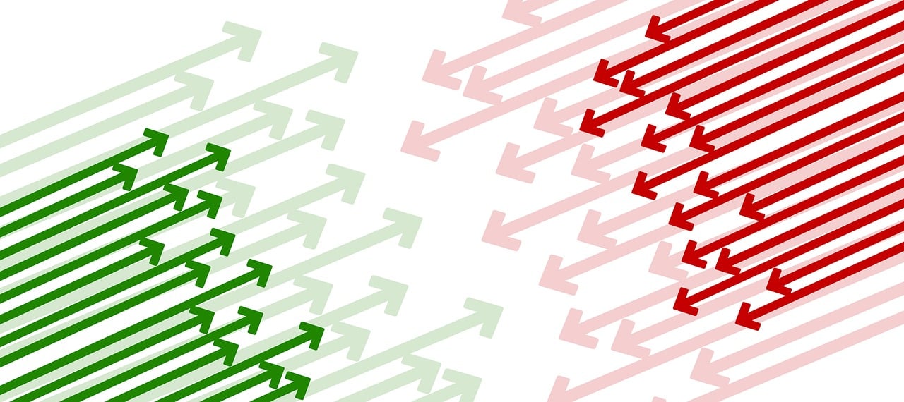 桔梗最新行情分析與趨勢預(yù)測