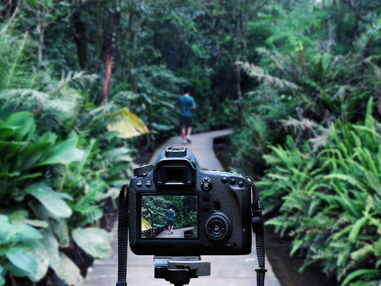 華晨宇最新動(dòng)態(tài)，音樂(lè)之旅開(kāi)啟新篇章