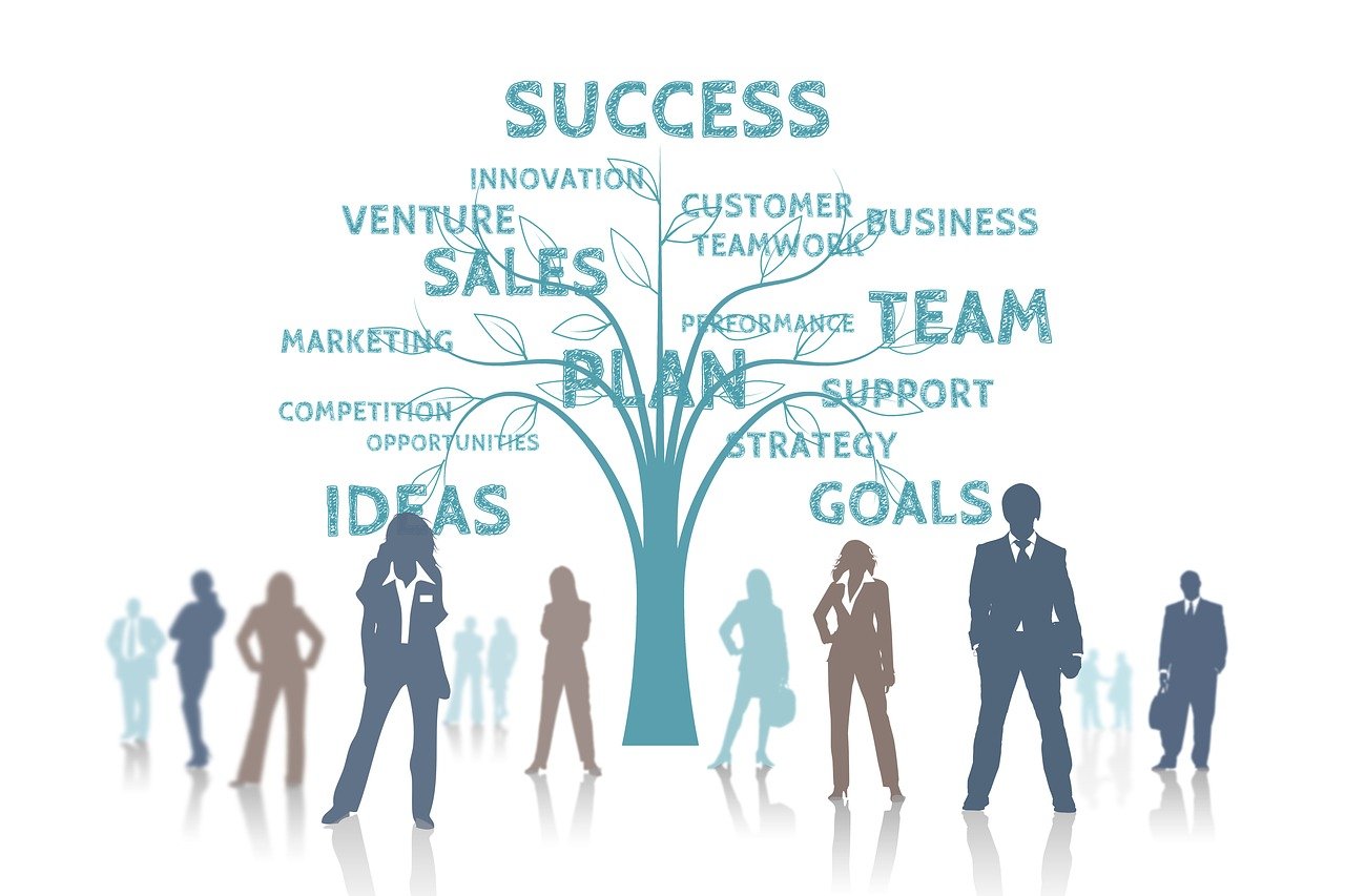 油菜最新價格動態(tài)分析與趨勢預測